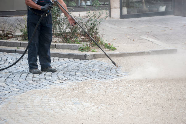 Best Dumpster Area Cleaning  in Roslyn Estates, NY
